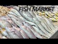 Fish market Karachi | kemari fish market | machi market in kemari | fresh fish in kemari fish market
