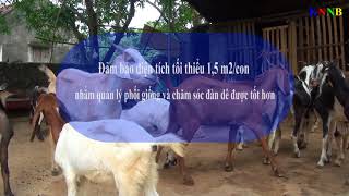 MỘT SỐ BIỆN PHÁP NÂNG CAO HIỆU QUẢ TRONG CHĂN NUÔI DÊ BÁN THÂM CANH