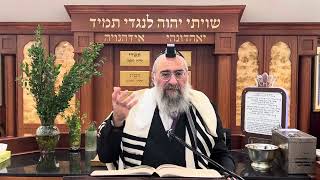 למה ט״ו באב זה יום אהבה (הרב יצחק ישראלי) - התמונה מוצגת ישירות מתוך אתר האינטרנט יוטיוב. זכויות היוצרים בתמונה שייכות ליוצרה. קישור קרדיט למקור התוכן נמצא בתוך דף הסרטון