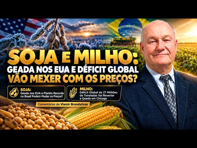 Soja e Milho: Geada nos EUA e Déficit Global Vão Mexer com os Preços?
