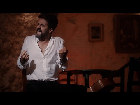 La Pura Admiración - Arco