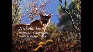 ❤♫ Nicholas Gunn - Journey to Yellowstone：Sunrise in Hayden Valley （黃石之旅：海登峽谷的日出) 2003