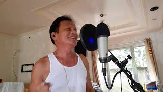 Love Comes From The Most Unexpected Places - Jose Feliciano (Song cover By Eddie Hipos)