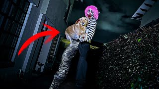 ¡LA PAYASA *Pinky* se ROBA a MI PERRA MOLY! * ¡¡PAYASA GIGANTE!!