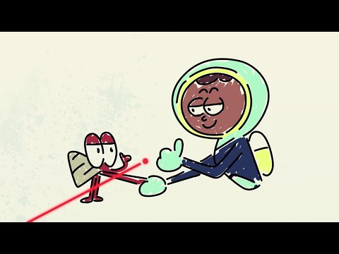 BERNIE'S PLAN | NEW The Adventures of Bernie | Zig & Sharko - Cartoons for Kids