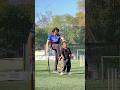 BADE Vs Chote Cricket Match