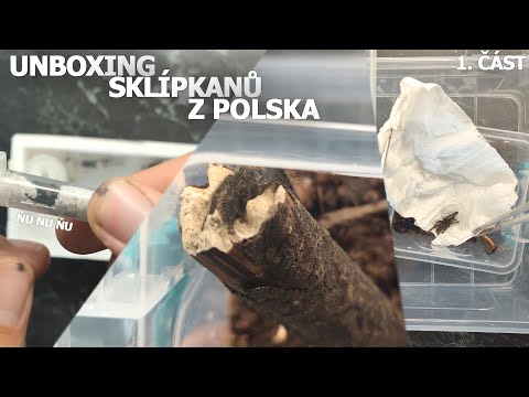 TAK JSEM KOUPIL DALŠÍ SKLÍPKANY!