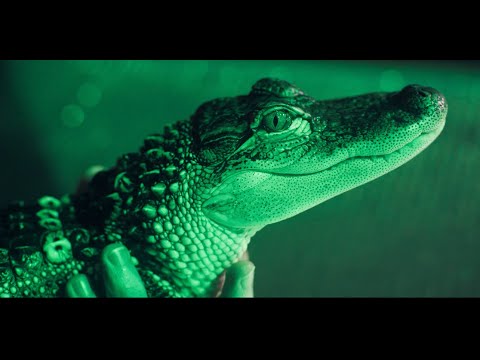 D-Ray What It Do x MillE - Chemistry (Official Music Video)