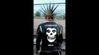 Anarchy in the UK - Simon Ritchie