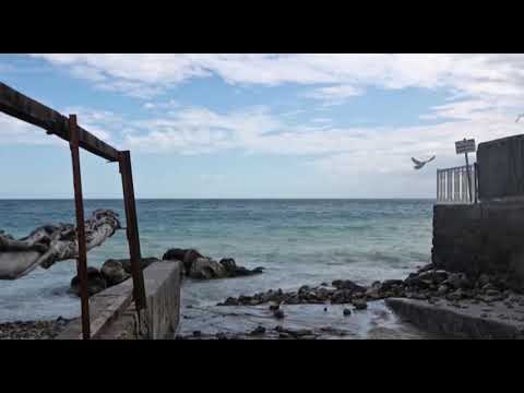 Cortometraggi SDAC: "Endless sea" di Elena Lattanzi