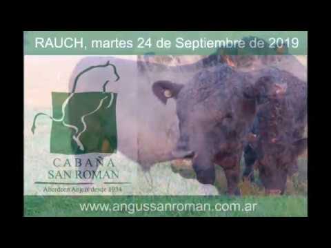 Cabaña San Roman - Spot Publicitario