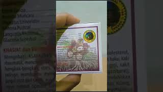 Download lagu KAPSUL AKAR POHON MANGGIS mp3 Download lagu KAPSUL AKAR POHON MANGGIS mp3