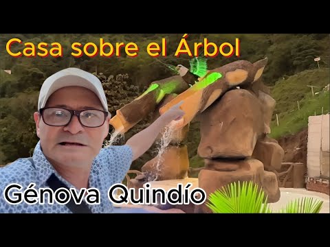 Nuevo Atractivo en la Casa en el Árbol en Génova Quindío I Hermosa Piscina