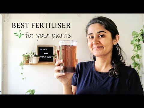 Best fertiliser for plants