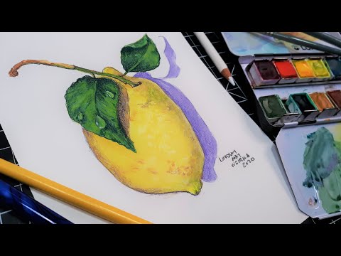 Watercolor Lemon Tutorial // Easy 4 color Skill-builder