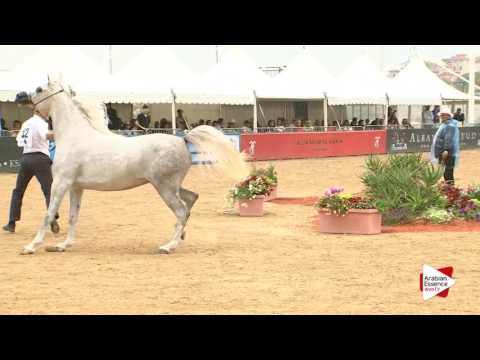 Menton 2016 - Class 3