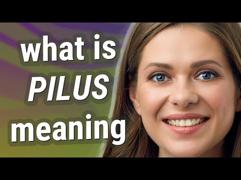 Pilus | meaning of Pilus