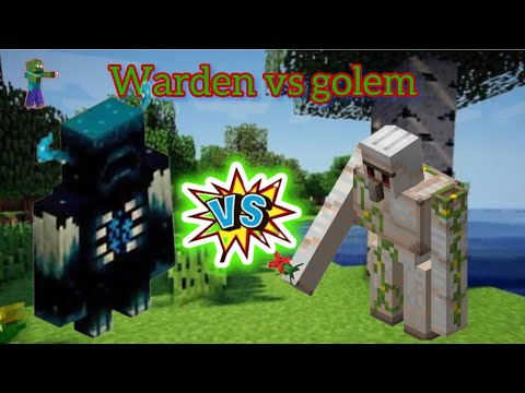 Minecraft: Insane Warden vs Golem Battle!