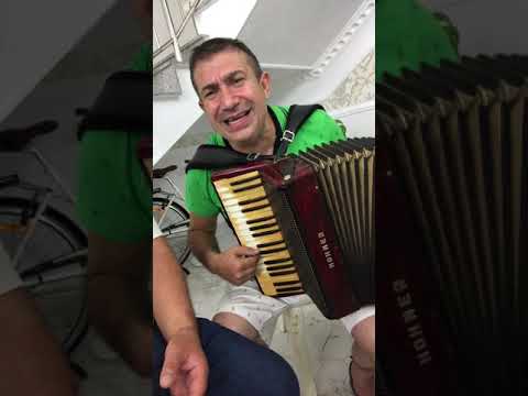 Ștefan de la barbulesti naletu manța