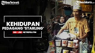 Sisi Lain Metropolitan: Cerita Kerasnya Kehidupan Pedagang 'Starling' yang Melegenda di Jakarta