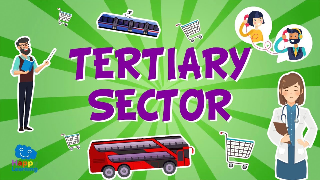 The Tertiary Sector : Jobs and their classification | Educational Videos for Kids