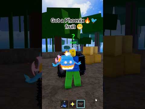 Got a Phoenix fruit in 1st sea 😁 #roblox #bloxfruits