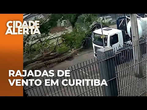 Ciclone Extratropical no Paraná: ventania derruba árvores em Curitiba