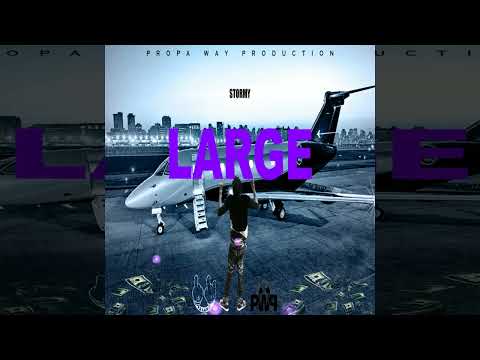 Stormy - Large (Survival Riddim)