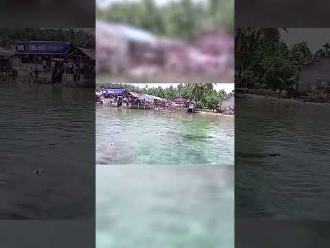 Przerażający moment, gdy krokodyl wynurza się z kobietą w paszczy