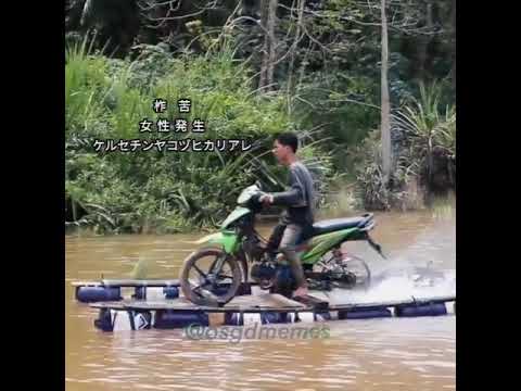 ONE PIECE - WE ARE (PARODY)