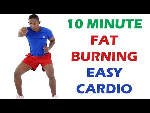 Everyday Workout for Beginners at Home 10 Minute Intense Home Workout
