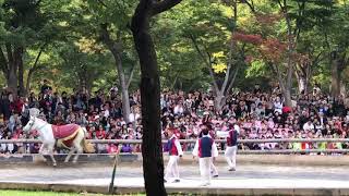 preview picture of video 'Korean Folk Village - Equestrian Feats P1'