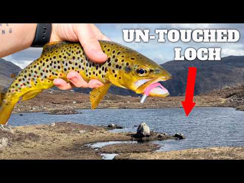 Catching Wild Trout in Remote Scottish Hill Lochs
