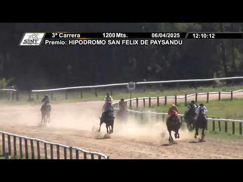 06/04/2025 – Hipodromo Flores – Carr 3 – HIPODROMO SAN FELIX DE PAYSANDU