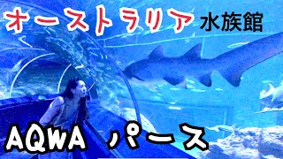AQWA知っ得情報！パースの水族館ってどんなとこ？