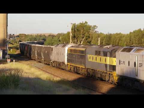 2CM4 CLP12/GM27/S303/CLF3 Shepherds Monday 21/2/2022