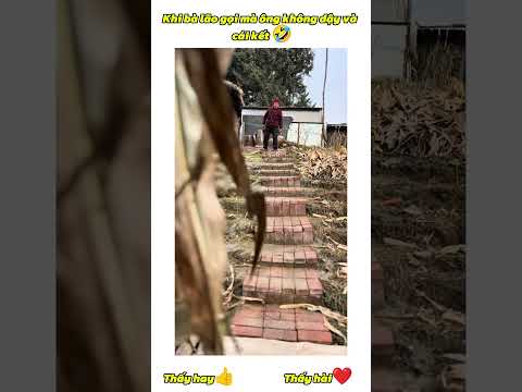 Ông lão không dậy và cái kết #shorts #shorts