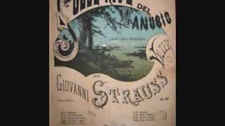 Video thumbnail of "Sul Bel Danubio Blu Johann Strauss"