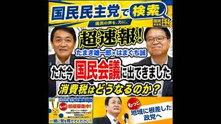 国民民主党 たまきチャンネル 国民会議 7月30日