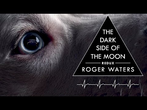 Roger Waters: DSOTM Redux | Is it any Good?