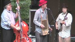 2007 Northwest String Summit (sat) - Red Brown & The Tune Stranglers