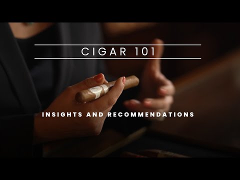 Cigar 101: Insights and Recommendations