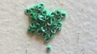 Polymer Clay Miniature - Candy Cane Christmastree 1 of 2