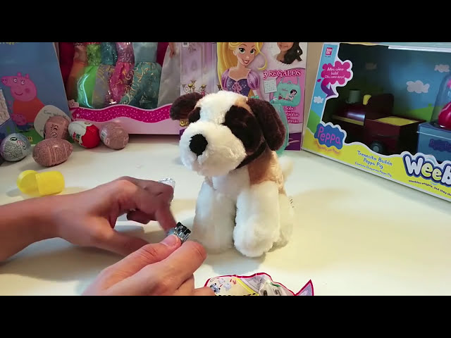 Vídeo relacionado con Ecoiffier - Centro veterinario incluye perro de peluche con muchos accesorios (7600001908)