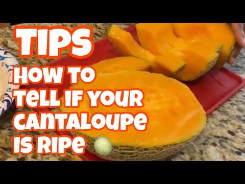 How to tell if your cantaloupe is ripe & ready to be eaten