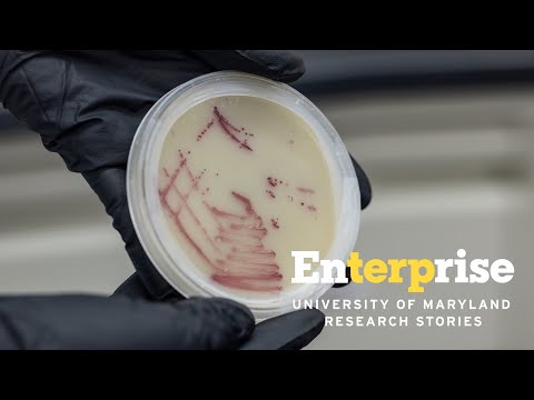 Keeping Maryland’s Water Safe | Enterprise Research Stories