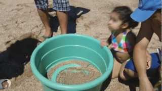 preview picture of video 'Playa Los Cobanos,El Salvador'