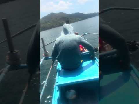 Banana Boat ride in Abagatanen Beach 2024