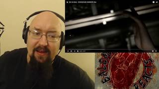 Dir En Grey Convieved Sorrow Live Opinion. So incredibly emotional.