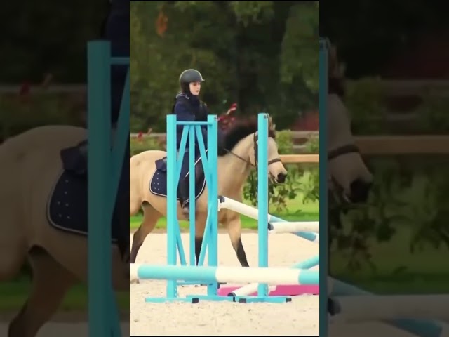 Castrone PFS Pony Francese da Sella In vendita 2015 Isabella